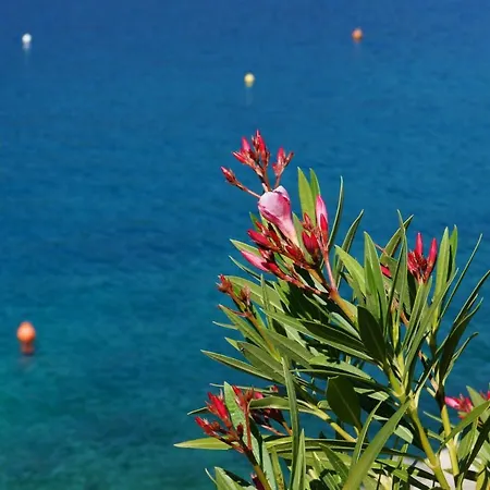 Angie - Intermezzo With Sea View In Center Of *