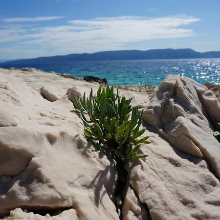 Angie - Intermezzo With Sea View In Center Of * Rabac