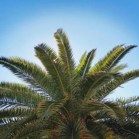 Angie - Intermezzo With Sea View In Center Of *